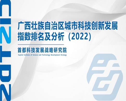 大鸡吧视【成果发布】广西壮族自治区城市科技创新发展指数排名及分析（2022）